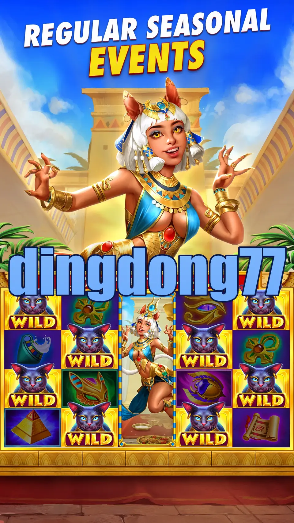 dingdong77 APK
